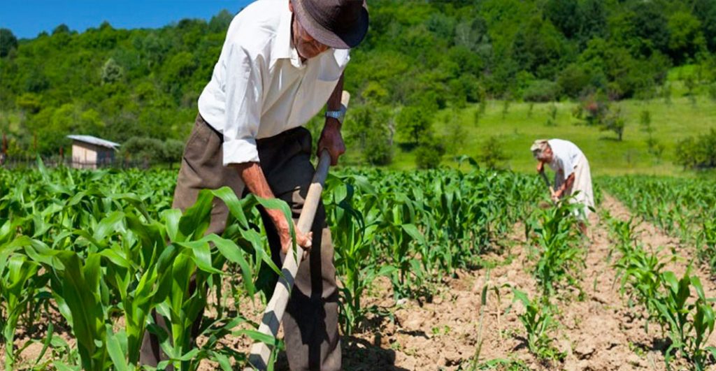 Agricultura