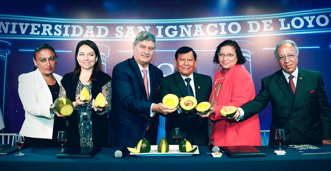 USIL Moquegua record Guinness de la palta